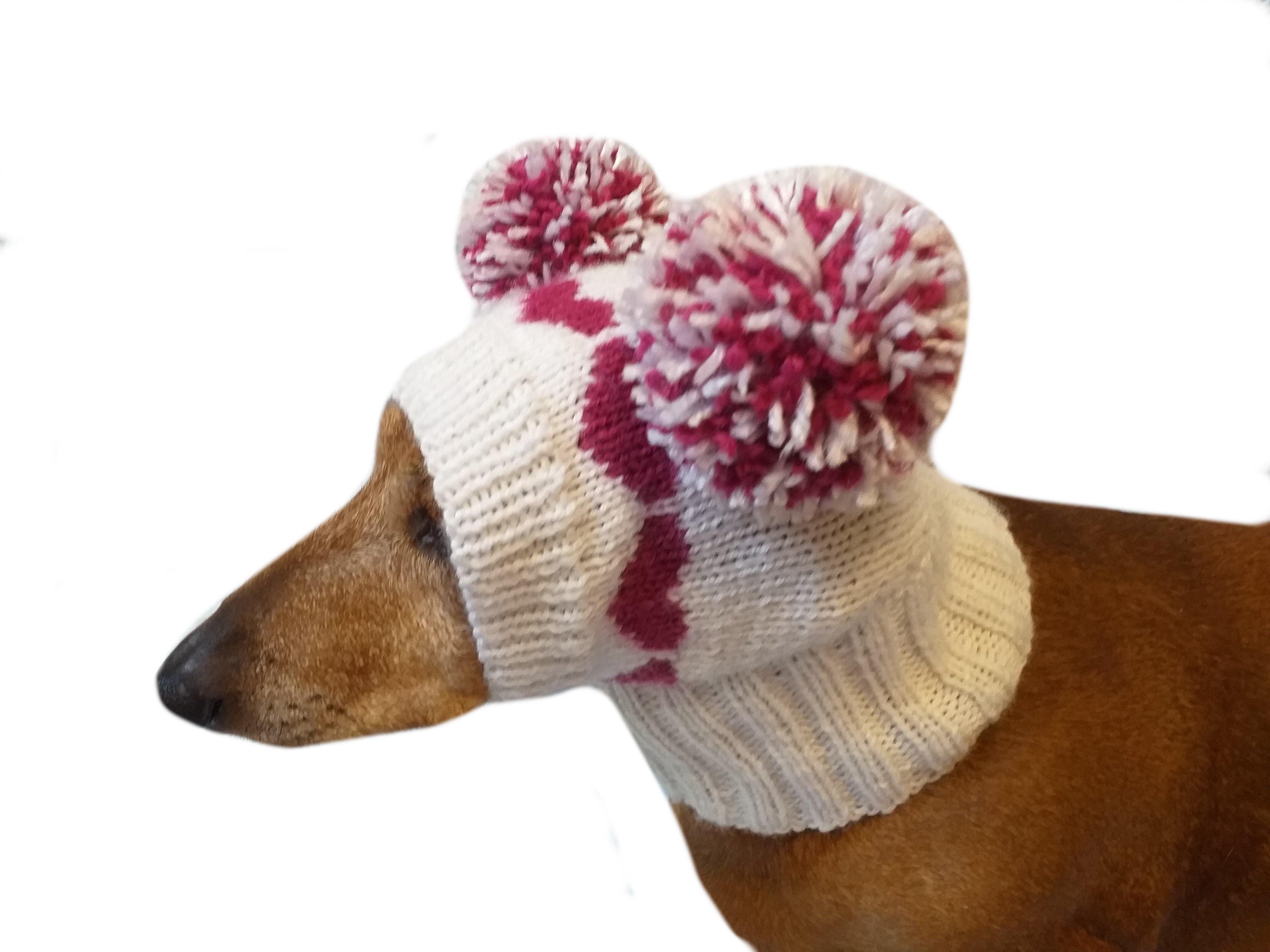 Pom pom best sale hat for dogs