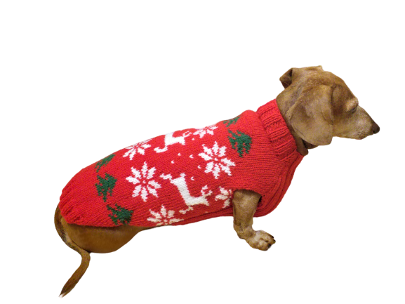 Dachshund christmas 2024 jumper for dog