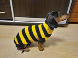 Bee knitted jumper for pets, bee sweater for dog, dachshund bee dog sweater