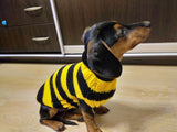 Bee knitted jumper for pets, bee sweater for dog, dachshund bee dog sweater