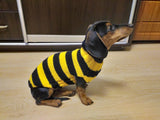 Bee knitted jumper for pets, bee sweater for dog, dachshund bee dog sweater