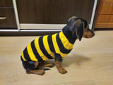 Bee knitted jumper for pets, bee sweater for dog, dachshund bee dog sweater