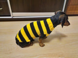 Bee knitted jumper for pets, bee sweater for dog, dachshund bee dog sweater