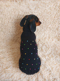 Pet Clothes Rainbow Beaded Jumper Dog Party Sweater Dog Photo Shoot Clothes dachshundknit