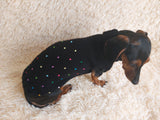 Pet Clothes Rainbow Beaded Jumper Dog Party Sweater Dog Photo Shoot Clothes dachshundknit