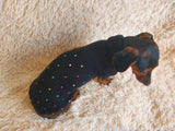 Pet Clothes Rainbow Beaded Jumper Dog Party Sweater Dog Photo Shoot Clothes dachshundknit