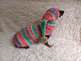 Christmas costume with snowmen for dog sweater and hat dachshundknit