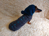 Suit with baseball ball for dog sweater and hat dachshundknit
