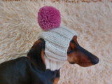 Hat for dog with pompom and holes for the ears