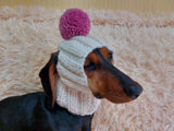 Hat for dog with pompom and holes for the ears