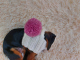 Hat for dog with pompom and holes for the ears