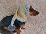 Santa hat for dog, christmas santa hat for dog, santa hat for dachshund