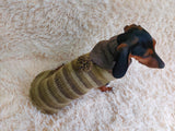 Warm Wool Stylish Clothes Pet Coat, Dog Hoodie, Dachshund Hooded Sweaters, Clothing for dachshund or small dog with sweater with hoodie