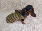 Warm Wool Stylish Clothes Pet Coat, Dog Hoodie, Dachshund Hooded Sweaters, Clothing for dachshund or small dog with sweater with hoodie