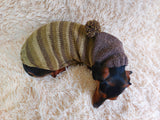 Warm Wool Stylish Clothes Pet Coat, Dog Hoodie, Dachshund Hooded Sweaters, Clothing for dachshund or small dog with sweater with hoodie