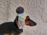 Hat for dog with pompom and holes for the ears