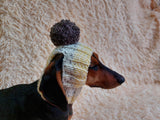 Hat for dog with pompom and holes for the ears