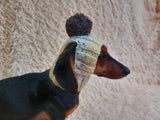 Hat for dog with pompom and holes for the ears