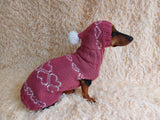Festive costume sweater and hat with hearts for pets,clothes dachshund dog with hearts,gift for pet lover,clothes dog for photo shoot