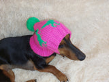 Pet Clothes Dinosaur Hat with Pompom,Dino Animals Hat for Dogs,Halloween Dinosaur Hat for Dachshund Dog