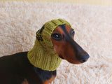 Pet Clothes Halloween Outfit Spiderman Hat Halloween Spiderman Dog Hat