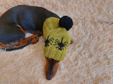 Pet Clothes Halloween Outfit Spiderman Hat Halloween Spiderman Dog Hat