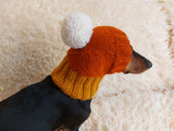 Candy Corn Dog Hat,hat for dog popcorn, halloween hat for dog popcorn, hat for dachshund popcorn