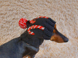 Christmas clothes for pets, snood hat Christmas photo shoot for dog