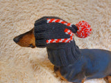 Christmas clothes for pets, snood hat Christmas photo shoot for dog