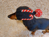 Christmas clothes for pets, snood hat Christmas photo shoot for dog