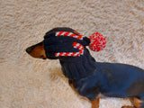 Christmas clothes for pets, snood hat Christmas photo shoot for dog