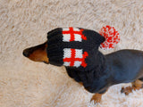 Christmas gift clothes for pets, snood hat with gifts for dog, Christmas clothes photo shoot for dog