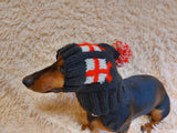 Christmas gift clothes for pets, snood hat with gifts for dog, Christmas clothes photo shoot for dog