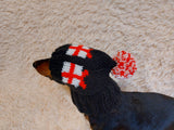 Christmas gift clothes for pets, snood hat with gifts for dog, Christmas clothes photo shoot for dog