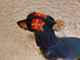 Christmas gift clothes for pets, snood hat with gifts for dog, Christmas clothes photo shoot for dog