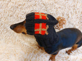 Christmas gift clothes for pets, snood hat with gifts for dog, Christmas clothes photo shoot for dog