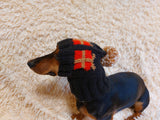 Christmas gift clothes for pets, snood hat with gifts for dog, Christmas clothes photo shoot for dog