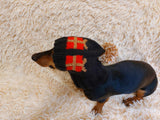 Christmas gift clothes for pets, snood hat with gifts for dog, Christmas clothes photo shoot for dog