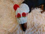 Pet clothes hat snood watermelon ice cream for dog