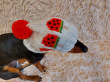Pet clothes hat snood watermelon ice cream for dog