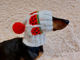Pet clothes hat snood watermelon ice cream for dog