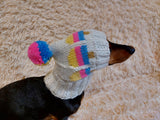 Pet clothes hat snood ice cream for dog