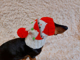 Christmas Pet Clothes Snood Santa Hat for Dog with Pompoms