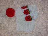 Pet clothes hat snood watermelon ice cream for dog
