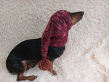 Christmas bright outfit dog hat with pompom,dachshund hat,Christmas clothes for dog photo shoot