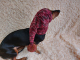 Christmas bright outfit dog hat with pompom,dachshund hat,Christmas clothes for dog photo shoot