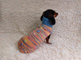 Wool Coat with Flowers and Ladybug for Pets - Winter Wool Sweater for Dogs with Collar - Dachshund Warm Clothes Jumper
