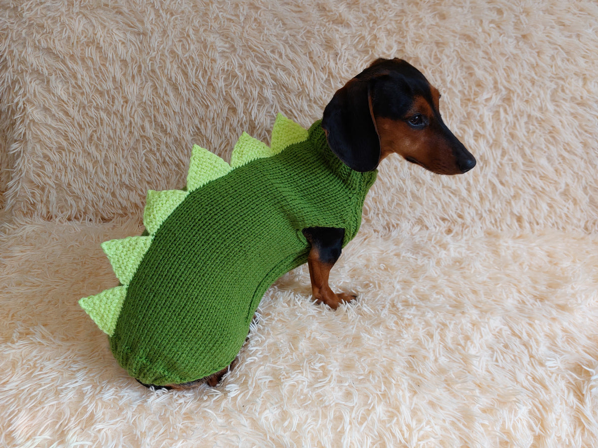 Costumes for dachshunds hotsell