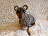 Bear costume made of alpaca wool for dogs, dachshund bear set sweater and hat