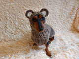 Bear costume made of alpaca wool for dogs, dachshund bear set sweater and hat